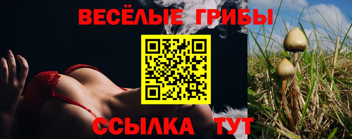 Галлюциногенные грибы MAGIC MUSHROOMS Владимир