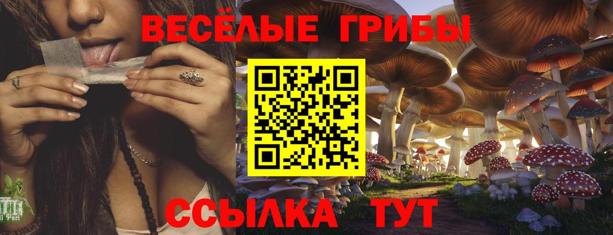 Галлюциногенные грибы MAGIC MUSHROOMS  Вход с VPN  Владимир  где купить   Галлюциногенные грибы ЛСД 