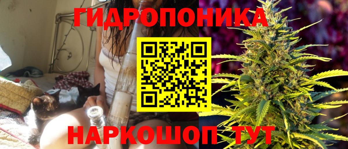 Бошки марихуана Bruce Banner  Вход с VPN  Марихуана Bruce Banner  Владимир 